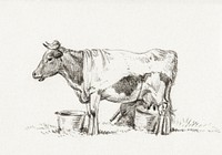 Standing cow, with milk bucket and milk stool (1823) by Jean Bernard (1775-1883). Original from The Rijksmuseum. Digitally enhanced by rawpixel.