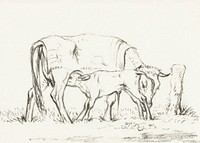 Calf drinking with his mother by <a href="https://www.rawpixel.com/search/Jean%20Bernard?sort=curated&amp;page=1">Jean Bernard</a> (1775-1883). Original from The Rijksmuseum. Digitally enhanced by rawpixel.