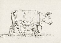 Calf drinking with his mother (1815) by <a href="https://www.rawpixel.com/search/Jean%20Bernard?sort=curated&amp;page=1">Jean Bernard</a> (1775-1883). Original from The Rijksmuseum. Digitally enhanced by rawpixel.
