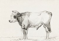Standing young bull by <a href="https://www.rawpixel.com/search/Jean%20Bernard?sort=curated&amp;page=1">Jean Bernard</a> (1775-1883). Original from The Rijksmuseum. Digitally enhanced by rawpixel.