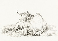 Lying cow (1826) by <a href="https://www.rawpixel.com/search/Jean%20Bernard?sort=curated&amp;page=1">Jean Bernard</a> (1775-1883). Original from The Rijksmuseum. Digitally enhanced by rawpixel.