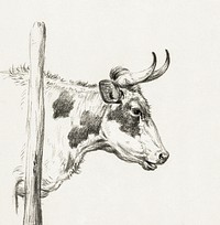 Head of a cow, to the right (1820) by <a href="https://www.rawpixel.com/search/Jean%20Bernard?sort=curated&amp;page=1">Jean Bernard</a> (1775-1883). Original from The Rijksmuseum. Digitally enhanced by rawpixel.
