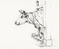 Head of a cow, to the left (1817) by <a href="https://www.rawpixel.com/search/Jean%20Bernard?sort=curated&amp;page=1">Jean Bernard</a> (1775-1883). Original from The Rijksmuseum. Digitally enhanced by rawpixel.
