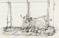 Lying cow by <a href="https://www.rawpixel.com/search/Jean%20Bernard?sort=curated&amp;page=1">Jean Bernard </a>(1775-1883). Original from The Rijksmuseum. Digitally enhanced by rawpixel.