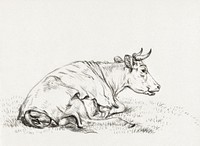 Lying cow, to the right (1819) by<a href="https://www.rawpixel.com/search/Jean%20Bernard?sort=curated&amp;page=1"> Jean Bernard</a> (1775-1883). Original from The Rijksmuseum. Digitally enhanced by rawpixel.