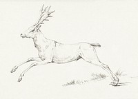 Jumping deer by <a href="https://www.rawpixel.com/search/Jean%20Bernard?sort=curated&amp;page=1">Jean Bernard</a> (1775-1883). Original from The Rijksmuseum. Digitally enhanced by rawpixel.