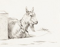 Goat half lying in a pen (1810) by <a href="https://www.rawpixel.com/search/Jean%20Bernard?sort=curated&amp;page=1">Jean Bernard</a> (1775-1883). Original from The Rijksmuseum. Digitally enhanced by rawpixel.