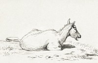Lying goat (1816) by <a href="https://www.rawpixel.com/search/Jean%20Bernard?sort=curated&amp;page=1">Jean Bernard</a> (1775-1883). Original from The Rijksmuseum. Digitally enhanced by rawpixel.