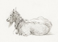 Lying goat (1810) by <a href="https://www.rawpixel.com/search/Jean%20Bernard?sort=curated&amp;page=1">Jean Bernard </a>(1775-1883). Original from The Rijksmuseum. Digitally enhanced by rawpixel.