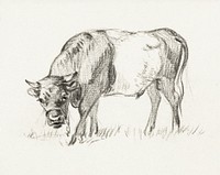 Grazing bull, Jan van Ravenswaay by <a href="https://www.rawpixel.com/search/Jean%20Bernard?sort=curated&amp;page=1">Jean Bernard </a>(1775-1883). Original from The Rijksmuseum. Digitally enhanced by rawpixel.
