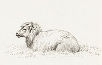 Lying sheep (1816) by Jean Bernard (1775-1883). Original from The Rijksmuseum. Digitally enhanced by rawpixel.