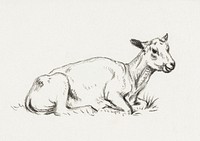 Lying shaved sheep by Jean Bernard (1775-1883). Original from The Rijksmuseum. Digitally enhanced by rawpixel.