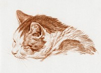 Head of a sleeping cat (1818) by <a href="https://www.rawpixel.com/search/Jean%20Bernard?sort=curated&amp;page=1">Jean Bernard</a> (1775-1883). Original from The Rijksmuseum. Digitally enhanced by rawpixel.