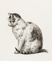 Sitting cat (1819) by <a href="https://www.rawpixel.com/search/Jean%20Bernard?sort=curated&amp;page=1">Jean Bernard</a> (1775-1883). Original from The Rijksmuseum. Digitally enhanced by rawpixel.