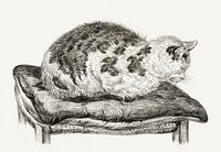 Lying cat on a pillow (1828) by Jean Bernard (1775-1883). Original from The Rijksmuseum. Digitally enhanced by rawpixel.