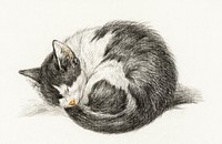 Rolled up lying sleeping cat (1825) by <a href="https://www.rawpixel.com/search/Jean%20Bernard?sort=curated&amp;page=1">Jean Bernard</a> (1775-1883). Original from The Rijksmuseum. Digitally enhanced by rawpixel.