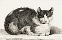 Reclining cat (1800) by Jean Bernard (1775-1883). Original from The Rijksmuseum. Digitally enhanced by rawpixel.