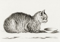 Lying cat for a dish (1812) by <a href="https://www.rawpixel.com/search/Jean%20Bernard?sort=curated&amp;page=1">Jean Bernard</a> (1775-1883). Original from The Rijksmuseum. Digitally enhanced by rawpixel.