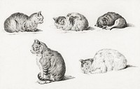 Five studies of Cats (1812) by Jean Bernard (1775-1883). Original from The Rijksmuseum. Digitally enhanced by rawpixel.