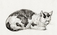 Lying cat (1828) by <a href="https://www.rawpixel.com/search/Jean%20Bernard?sort=curated&amp;page=1">Jean Bernard</a> (1775-1883). Original from The Rijksmuseum. Digitally enhanced by rawpixel.