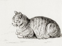 Lying cat (1811) by <a href="https://www.rawpixel.com/search/Jean%20Bernard?sort=curated&amp;page=1">Jean Bernard </a>(1775-1883). Original from The Rijksmuseum. Digitally enhanced by rawpixel.