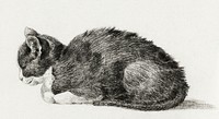 Lying cat (1800) by <a href="https://www.rawpixel.com/search/Jean%20Bernard?sort=curated&amp;page=1">Jean Bernard </a>(1775-1883). Original from The Rijksmuseum. Digitally enhanced by rawpixel.