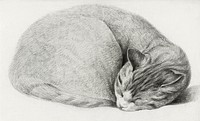 Rolled up lying, sleeping cat by <a href="https://www.rawpixel.com/search/Jean%20Bernard?sort=curated&amp;page=1">Jean Bernard</a> (1775-1883). Original from The Rijksmuseum. Digitally enhanced by rawpixel.