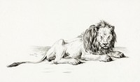 Lying lion (1822) by Jean Bernard (1775-1883). Original from The Rijksmuseum. Digitally enhanced by rawpixel.