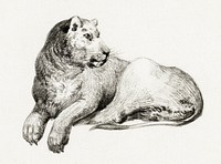 Lying lion by <a href="https://www.rawpixel.com/search/Jean%20Bernard?sort=curated&amp;page=1">Jean Bernard</a> (1775-1883). Original from The Rijksmuseum. Digitally enhanced by rawpixel.