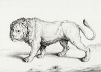 Lion by <a href="https://www.rawpixel.com/search/Jean%20Bernard?sort=curated&amp;page=1">Jean Bernard</a> (1775-1883). Original from The Rijksmuseum. Digitally enhanced by rawpixel.