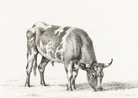 Grazing bull by <a href="https://www.rawpixel.com/search/Jean%20Bernard?sort=curated&amp;page=1">Jean Bernard</a> (1775-1883). Original from The Rijksmuseum. Digitally enhanced by rawpixel.