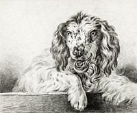 Dog (1802) by <a href="https://www.rawpixel.com/search/Jean%20Bernard?sort=curated&amp;page=1">Jean Bernard</a> (1775-1883). Original from The Rijksmuseum. Digitally enhanced by rawpixel.
