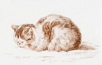 Lying cat (1812) by <a href="https://www.rawpixel.com/search/Jean%20Bernard?sort=curated&amp;page=1">Jean Bernard</a> (1775-1883). Original from The Rijksmuseum. Digitally enhanced by rawpixel.