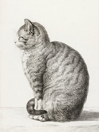 Sitting cat (1815) by <a href="https://www.rawpixel.com/search/Jean%20Bernard?sort=curated&amp;page=1">Jean Bernard</a> (1775-1883). Original from The Rijksmuseum. Digitally enhanced by rawpixel.