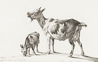 Goats by <a href="https://www.rawpixel.com/search/Jean%20Bernard?sort=curated&amp;page=1">Jean Bernard</a> (1775-1883). Original from The Rijksmuseum. Digitally enhanced by rawpixel.