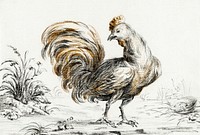 Rooster by <a href="https://www.rawpixel.com/search/Jean%20Bernard?sort=curated&amp;page=1">Jean Bernard</a> (1775-1883). Original from The Rijksmuseum. Digitally enhanced by rawpixel.