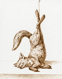 Dead fox, hanging from his paws (1815) by <a href="https://www.rawpixel.com/search/Jean%20Bernard?sort=curated&amp;page=1">Jean Bernard</a> (1775-1883). Original from The Rijksmuseum. Digitally enhanced by rawpixel.