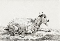 Lying goat (1813) by <a href="https://www.rawpixel.com/search/Jean%20Bernard?sort=curated&amp;page=1">Jean Bernard</a> (1775-1883). Original from The Rijksmuseum. Digitally enhanced by rawpixel.