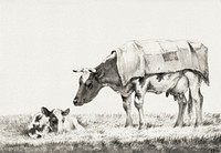 Standing cow with lying calf (1816) by <a href="https://www.rawpixel.com/search/Jean%20Bernard?sort=curated&amp;page=1">Jean Bernard</a> (1775-1883). Original from The Rijksmuseum. Digitally enhanced by rawpixel.