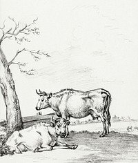 Standing and lying cow by <a href="https://www.rawpixel.com/search/Jean%20Bernard?sort=curated&amp;page=1">Jean Bernard</a> (1775-1883). Original from The Rijksmuseum. Digitally enhanced by rawpixel.