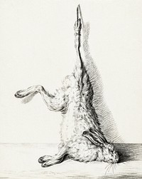 Dead hare, hanging from a hind leg by <a href="https://www.rawpixel.com/search/Jean%20Bernard?sort=curated&amp;page=1">Jean Bernard</a> (1775-1883). Original from The Rijksmuseum. Digitally enhanced by rawpixel.