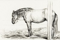Standing horse (1817) by <a href="https://www.rawpixel.com/search/Jean%20Bernard?sort=curated&amp;page=1">Jean Bernard</a> (1775-1883). Original from The Rijksmuseum. Digitally enhanced by rawpixel.