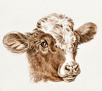 Head of a cow by <a href="https://www.rawpixel.com/search/Jean%20Bernard?sort=curated&amp;page=1">Jean Bernard</a> (1775-1883). Original from The Rijksmuseum. Digitally enhanced by rawpixel.