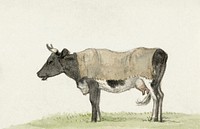 Standing cow with blanket (1816) by <a href="https://www.rawpixel.com/search/Jean%20Bernard?sort=curated&amp;page=1">Jean Bernard</a> (1775-1883). Original from The Rijksmuseum. Digitally enhanced by rawpixel.