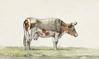 Standing cow with blanket (1816) by <a href="https://www.rawpixel.com/search/Jean%20Bernard?sort=curated&amp;page=1">Jean Bernard</a> (1775-1883). Original from The Rijksmuseum. Digitally enhanced by rawpixel.
