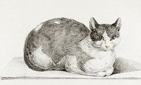 Sitting cat (1798) by Jean Bernard (1775-1883). Original from The Rijksmuseum. Digitally enhanced by rawpixel.
