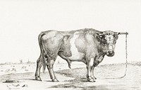 Standing bull by Jean Bernard (1775-1883). Original from The Rijksmuseum. Digitally enhanced by rawpixel.