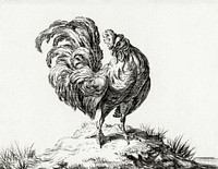 Chicken, standing on a hill by <a href="https://www.rawpixel.com/search/Jean%20Bernard?sort=curated&amp;page=1">Jean Bernard</a> (1775-1883). Original from The Rijksmuseum. Digitally enhanced by rawpixel.