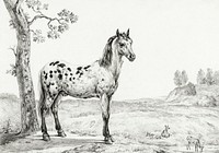 Standing mottled horse by <a href="https://www.rawpixel.com/search/Jean%20Bernard?sort=curated&amp;page=1">Jean Bernard</a> (1775-1883). Original from the Rijks Museum. Digitally enhanced by rawpixel.