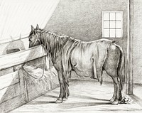 Standing horse in a stable (1812) by <a href="https://www.rawpixel.com/search/Jean%20Bernard?sort=curated&amp;page=1">Jean Bernard</a> (1775-1883). Original from the Rijks Museum. Digitally enhanced by rawpixel.